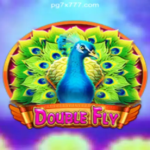 Exploring the Dynamic World of DoubleFly: A Unique Gaming Experience